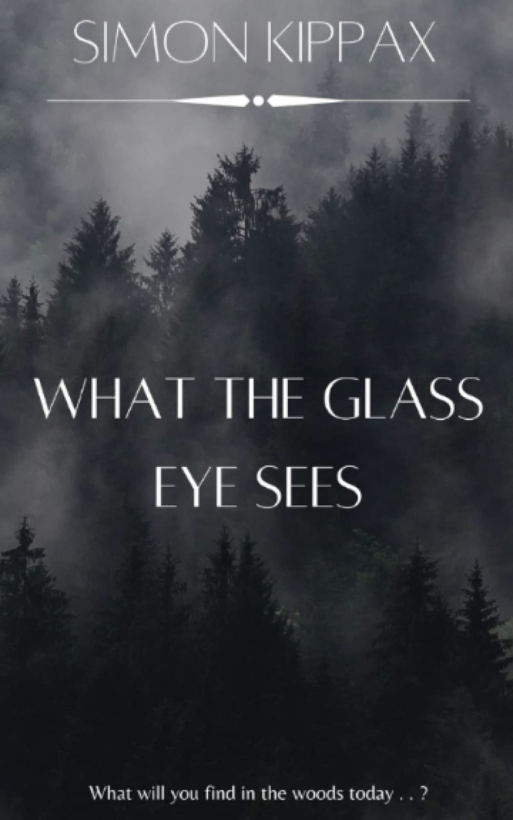 What the Glass Eye Sees