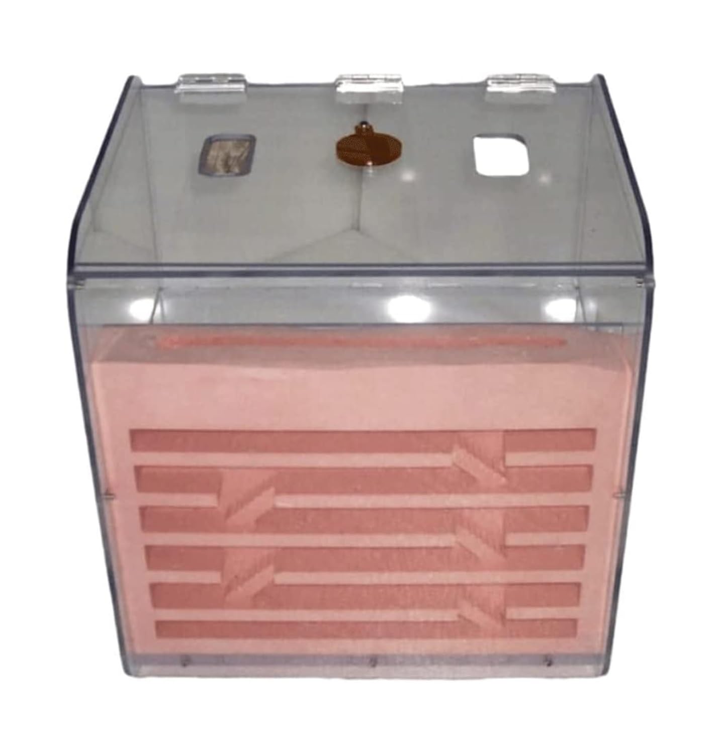 Formicario Kit Didattico Educativo Per Castello Di Formiche Grande Capacità In Gesso Acrilico Per Formicaio Per Osservazione Delle, Villa Habitat Habitat Nido Terrario