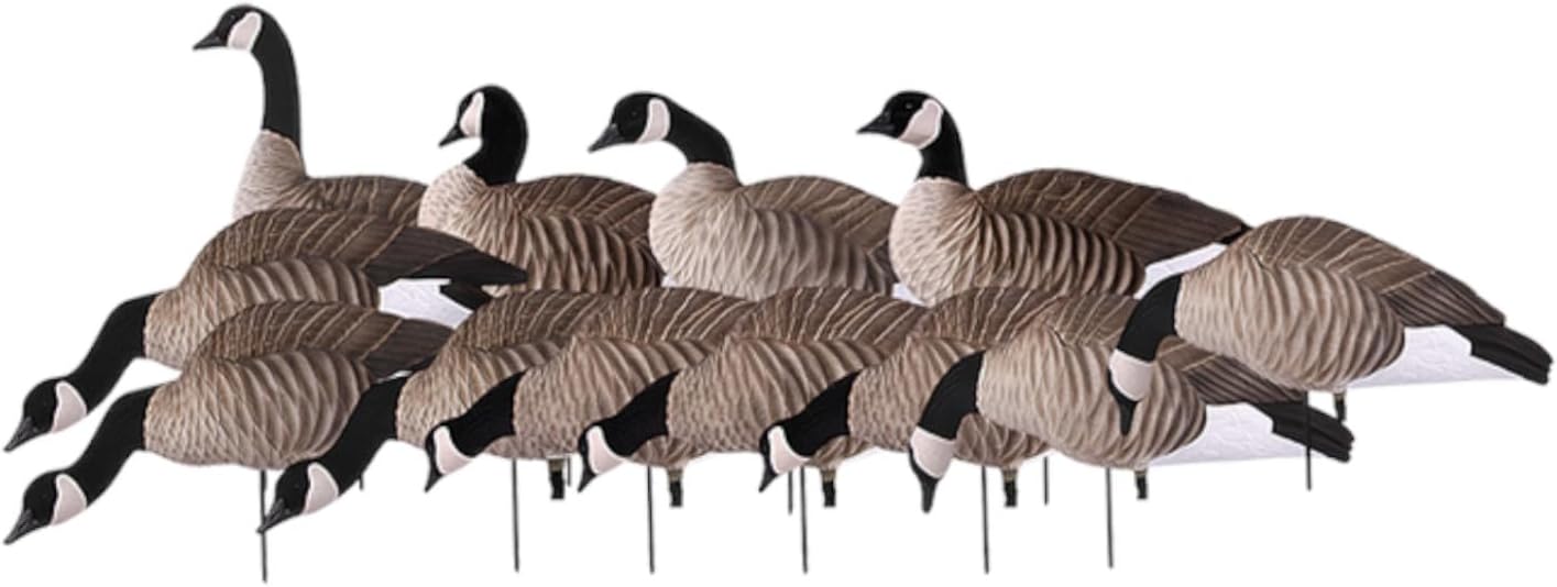Avery 12 Pack of Lesser Canada Harvester Decoys (72323)