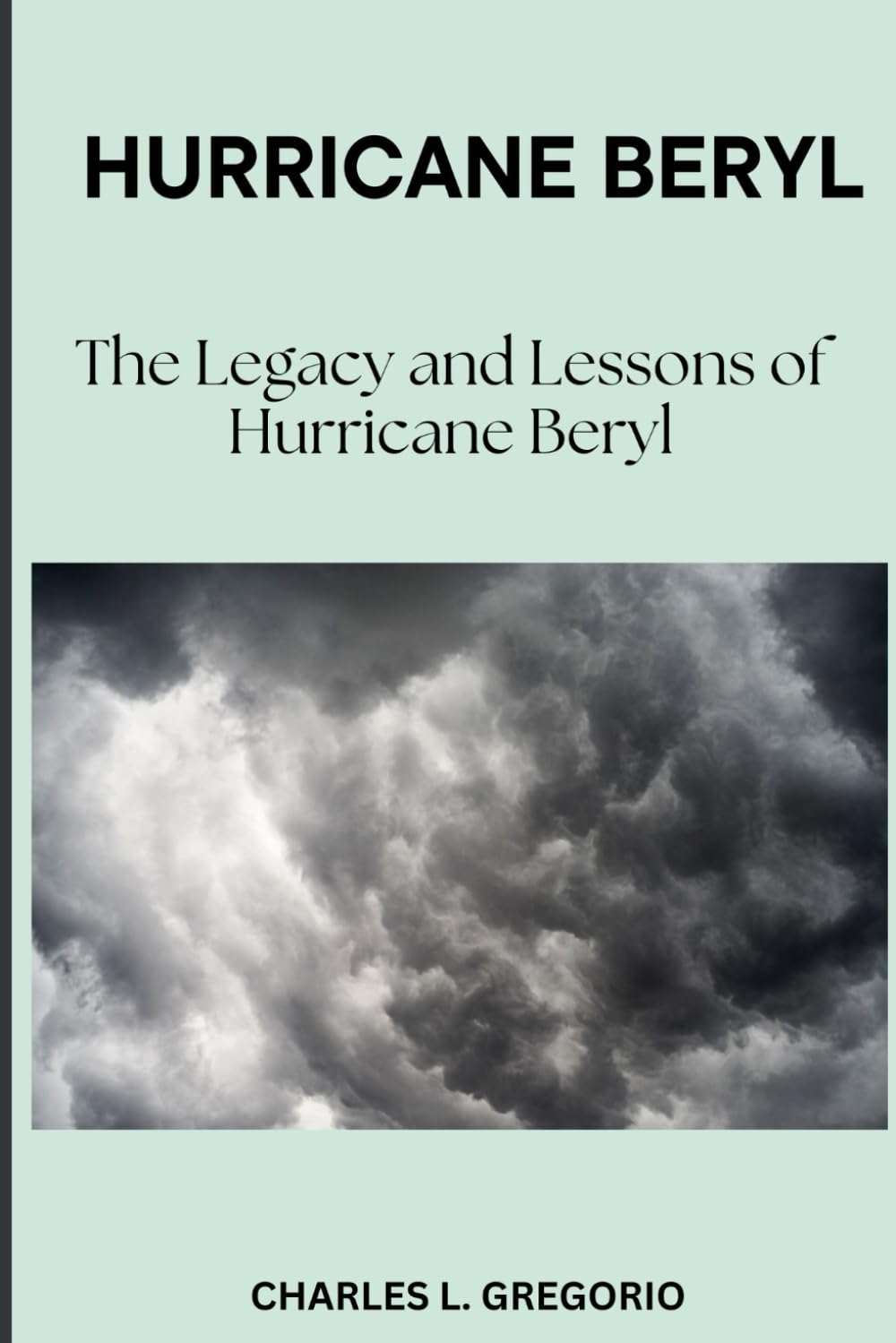 HURRICANE BERYL: The Legacy and Lessons of Hurricane Beryl