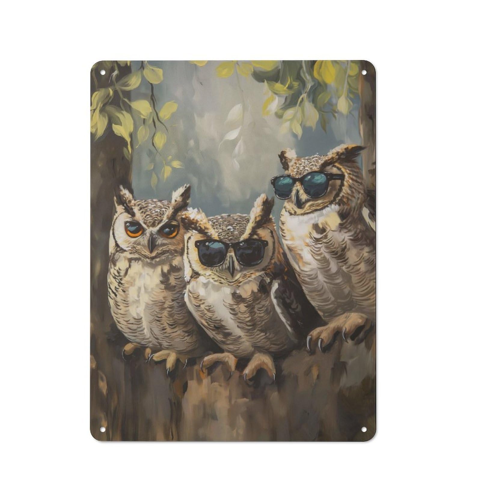 Junmoney Three Cool Sunglasses Owls Rustic Metal Sign 40X30cm For Living Room Wall, With Clear Rustic Wall Decor Character