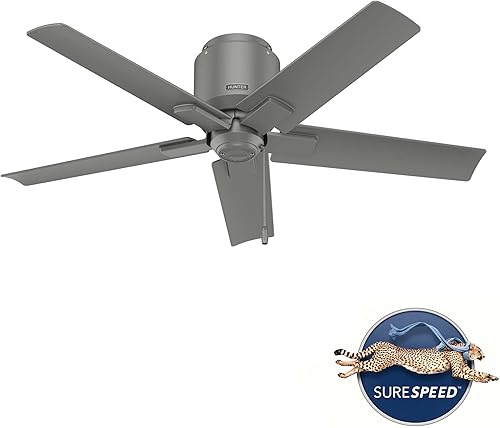 Miniatura 2 de Hunter Terrace Cove - Ventilador de techo moderno de 44 pulgadas para interiores y exteriores, color plateado mate y cadena de tracción Plateado