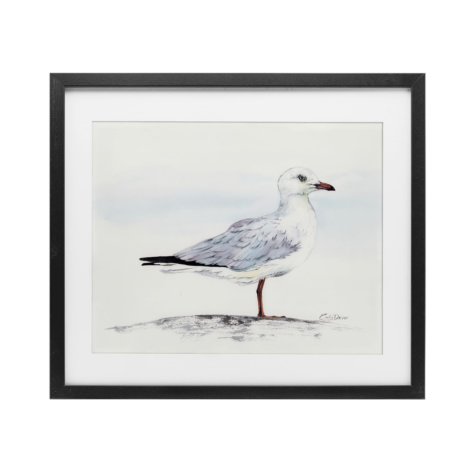 Stupell Industries Seagull On Sand Portrait Black Framed Print Under Glass, design by Cady Driver, 13 x 16