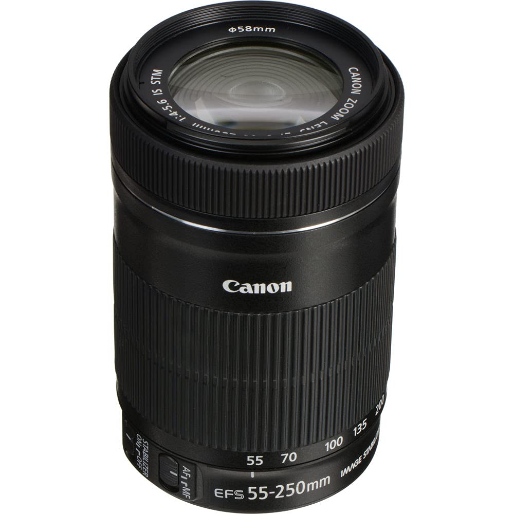 Canon EF-S55-250 + マウントアダプター その他 - その他