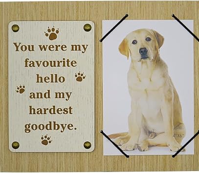 Loss of Dog Gifts, Sympathy Gift for Loss of Pet, Memories Photo Frame, Memorial for Dogs That Passed Away, In Loving Memory Dog Picture Frame, Pet Memorial Keepsakes for Dogs