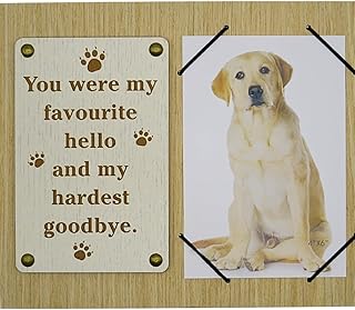 Loss of Dog Gifts, Sympathy Gift for Loss of Pet, Memories Photo Frame, Memorial for Dogs That Passed Away, In Loving Memory Dog Picture Frame, Pet Memorial Keepsakes for Dogs
