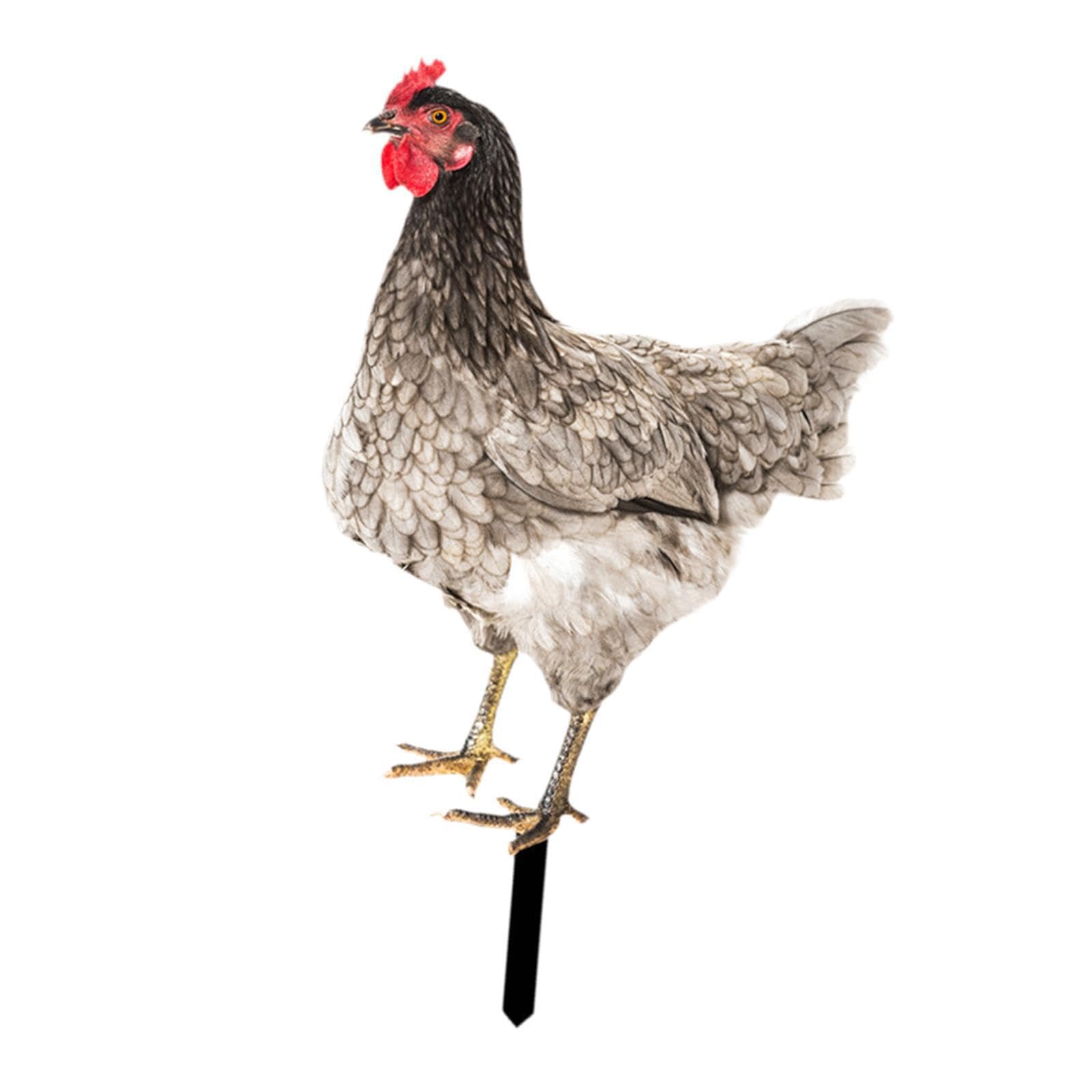 mophrati Acrylic Animal Stake Figurine Sign Pathway Patio Secures Attention On Chicken Garden Statue Enriching Warm Outdoor Ambiance Chicken Garden Statue, Style C