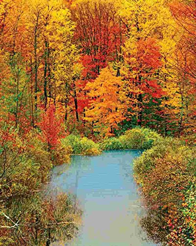 Springbok Puzzles - Autumn Reflection - 1500 Piece Jigsaw Puzzle - Large 28.75 Inches by 36 Inches Puzzle - Made in USA - Unique Cut Interlocking Pieces