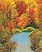 Springbok Puzzles - Autumn Reflection - 1500 Piece Jigsaw Puzzle - Large 28.75 Inches by 36 Inches Puzzle - Made in USA - Unique Cut Interlocking Pieces
