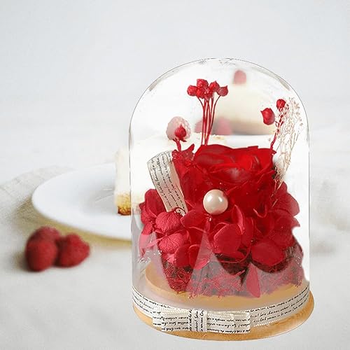Miniatura 2 de Rosa real preservada en cúpula de cristal, regalo de rosa roja eterna para siempre, para mujeres, mamá, esposa, abuela, cumpleaños, aniversario,