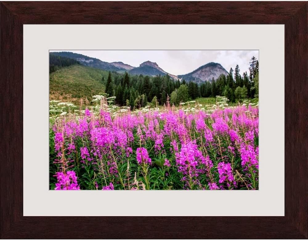 GREATBIGCANVASGREATBIGCANVAS Field of Fireweed Flowers in Yoho Espresso Framed Wall Art Print, Floral Artwork