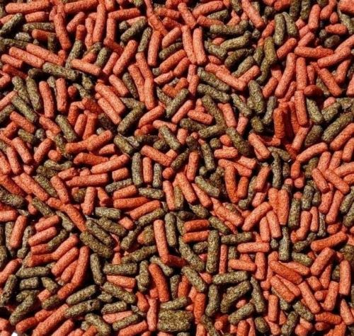 The Aqua Shack Turtle & Terrapin Food - Sticks Complete Diet Shrimp Gammarus Mix Floating Bulk (Red Turtle Sticks, 1kg)