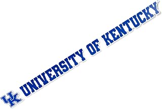 Desert Cactus University of Kentucky Sticker Wildcats UK Wildcats Name Logo Vinyl Decal Laptop Water Bottle Car Scrapbook (15 Inch Sticker)