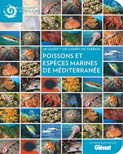 Poissons et espèces marines en Méditerranée: Un guide + un carnet de terrain