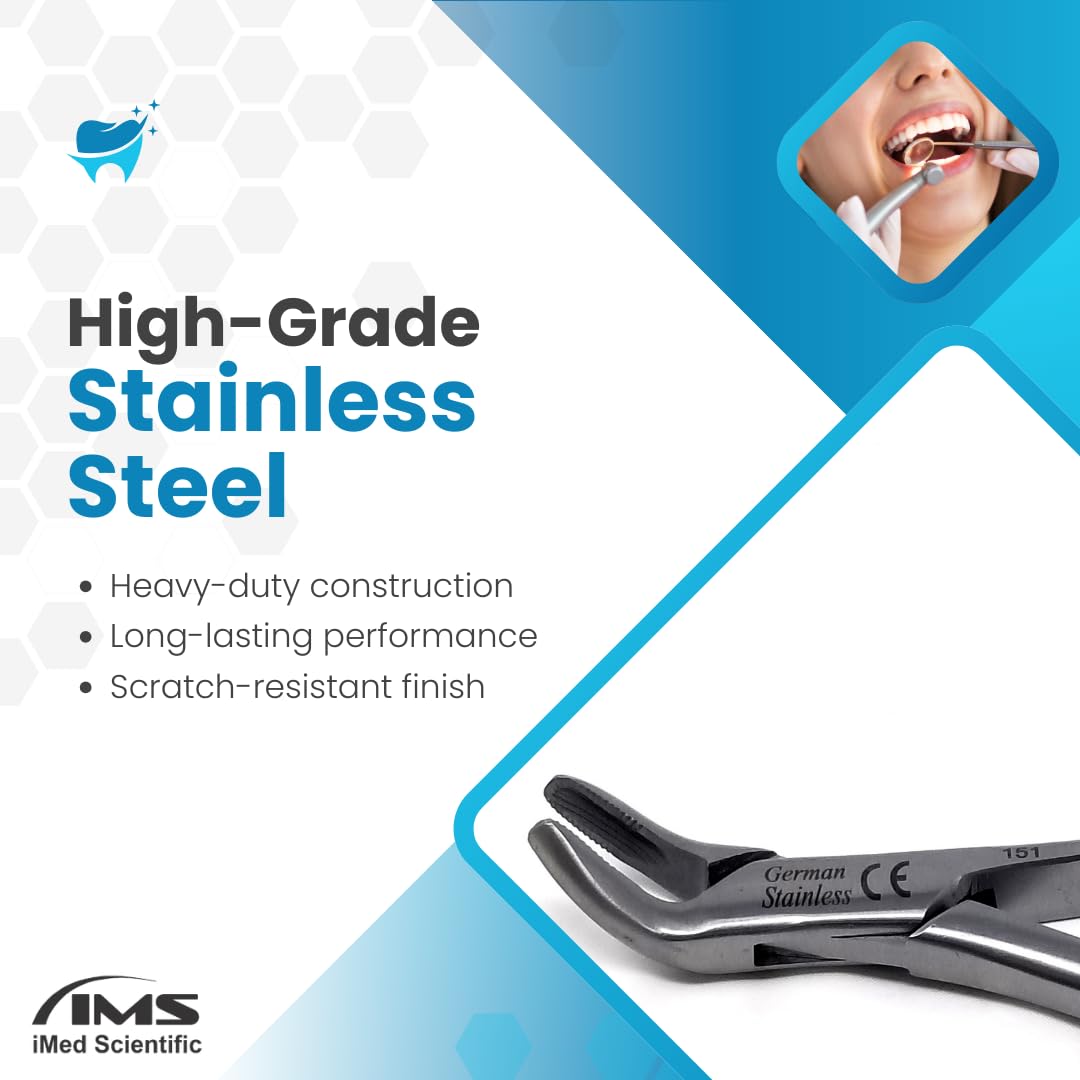 IMEDS Dental Extracting Forceps #151 with Serrated Beaks Tooth Lower Root Extraction German Stainless Steel Tools Comes in Gold Handle