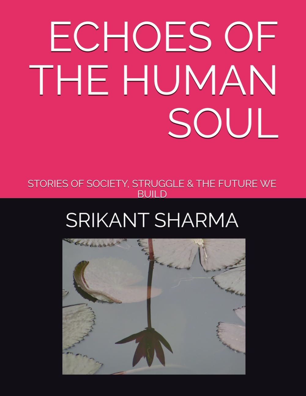 ECHOES OF THE HUMAN SOUL: STORIES OF SOCIETY, STRUGGLE & THE FUTURE WE BUILD