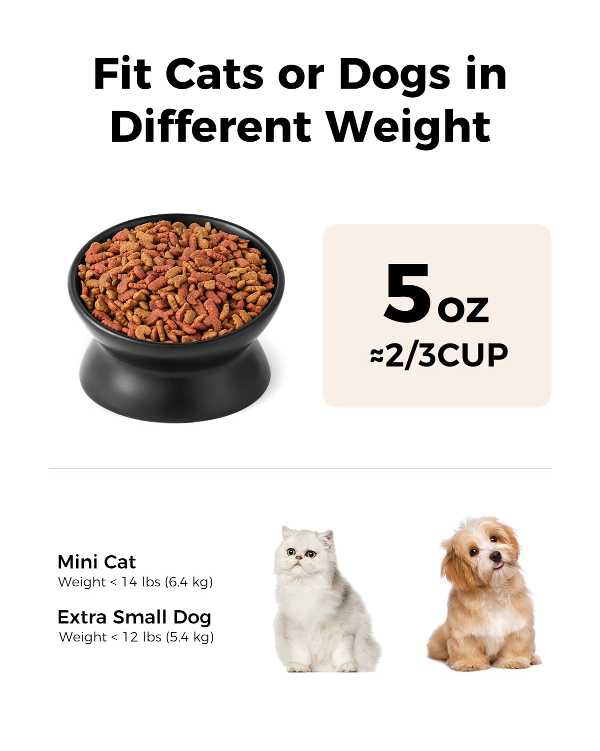LoeJan Ciotola rialzata per cibo per gatti, 141,7 g, in ceramica, rialzata e inclinata, anti vomito e protegge le spine degli animali domestici, per cani di piccola taglia, gatti con faccia grassa