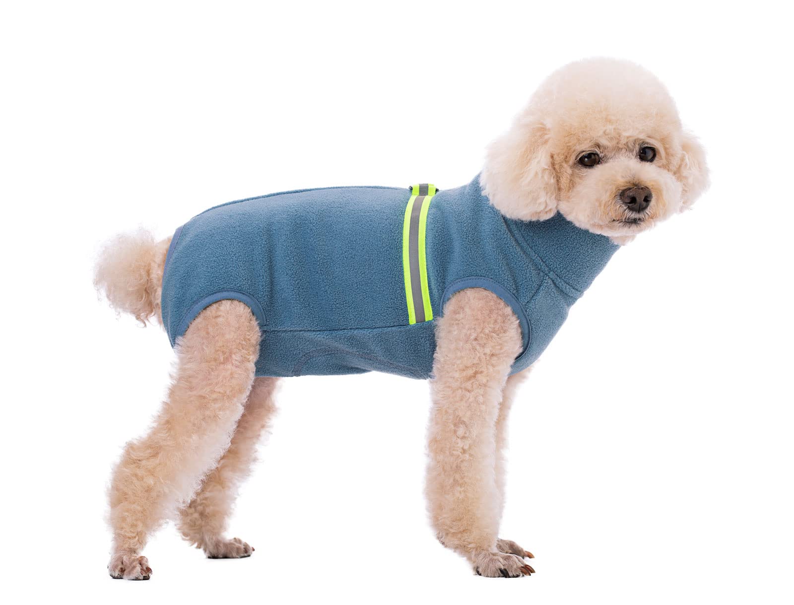 BT Bear Winterkleidung für kleine Hunde, Winterkleidung, Mantel, weiches Fleece mit reflektierendem Hunde-Einteiler, Overall, Welpen-Haustier-Pyjama-Kostüm (Haze Blue, XS)
