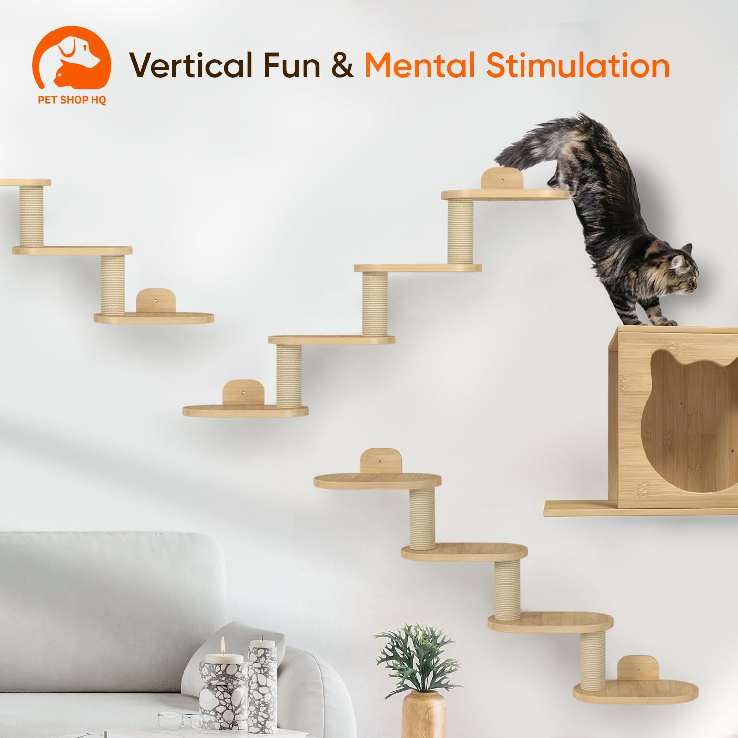 Amazon.com : Wall-Mounted Cat Furniture for Climbing