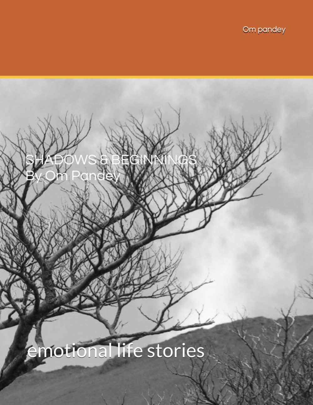 SHADOWS & BEGINNINGS By Om Pandey: emotional life stories