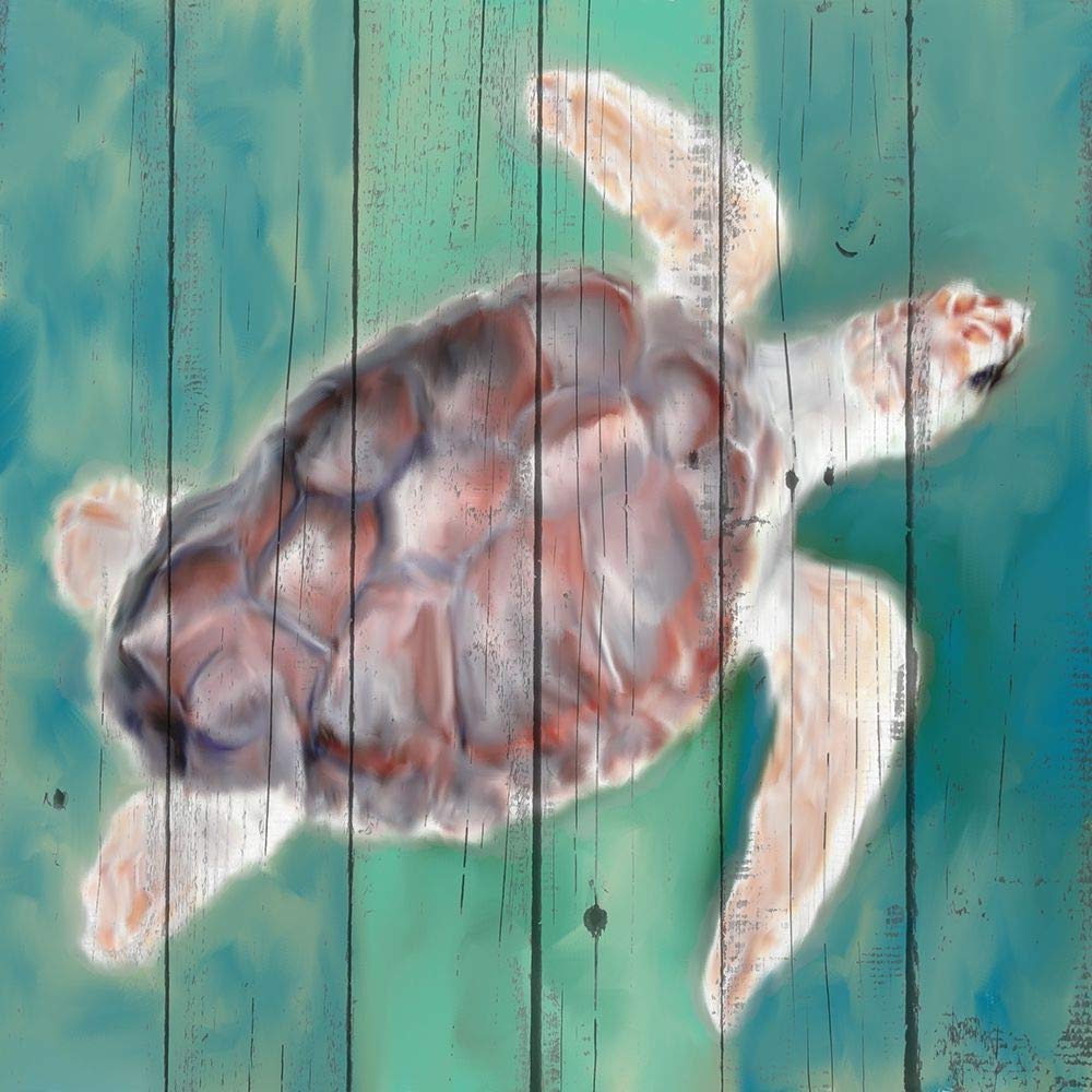 Sea Turtle by Kimberly Allen - 16x16 Art Print Poster