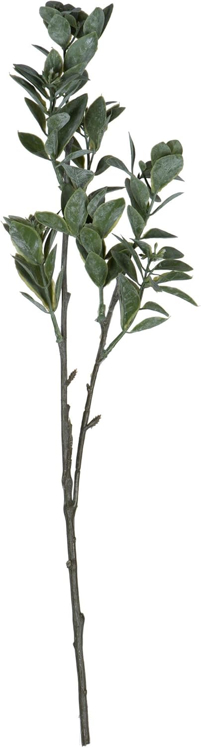 Vickerman Everyday 20" Artificial Green and White Aglaia Spray - Faux Chinese Perfume Plant Decor - Home Or Office Indoor Arrangement Accent - 6 Pack