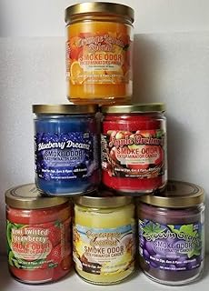 Smoke Odor Exterminator 13 oz Jar Candles Orange Lemon Splash Assorted 6 Includes Kiwi Twisted Strawberries, Groov n Grape, Apple Orchard, Blueberry Dreamz & Pineapple Coconut.