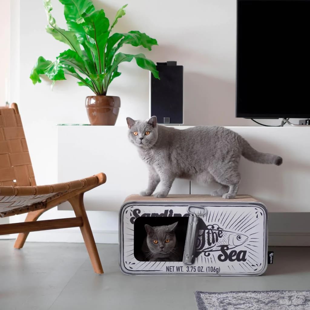 District 70 Sardine Arbre à Chat Carton Ondulé Blanc