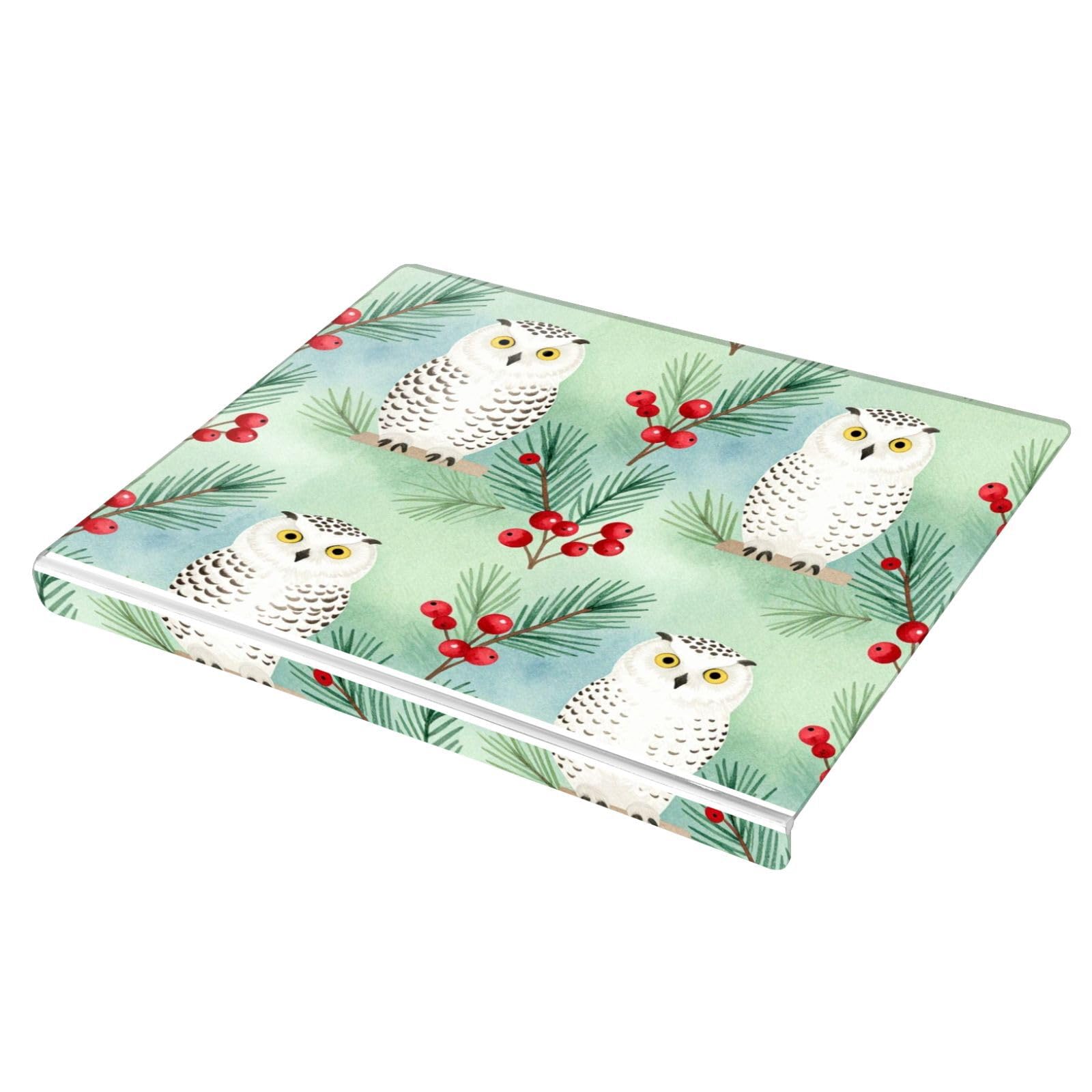 Tabla de cortar acrílica de 34 x 42 x 0,4 cm, borde lateral de 2,5 cm