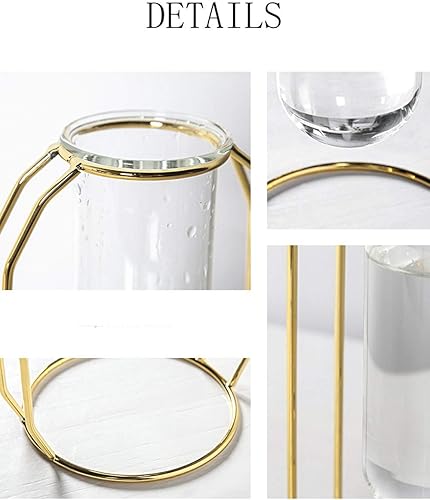 Miniatura 5 de Nuptio - Juego de 2 jarrones de cristal con marco de metal, para plantas y flores, jarrón cilíndrico, para plantas de mesa, para oficina, sala de