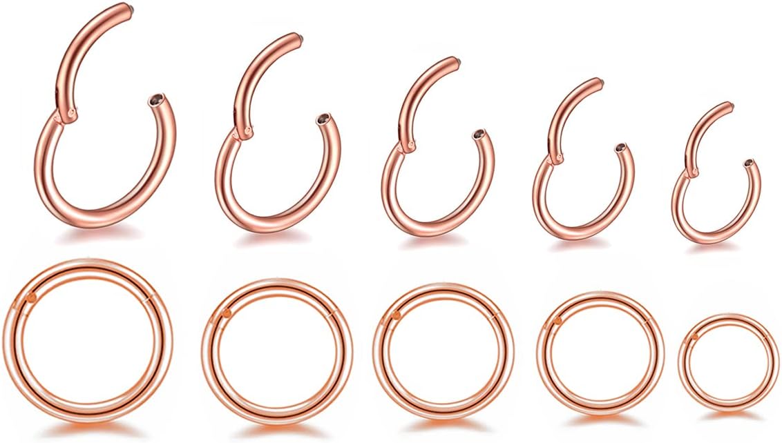 HQLA 16G Surgical Steel Hinged Clicker Segment Nose Rings Hoop Helix Cartilage Daith Tragus Sleeper Earrings Body Piercing for women 6mm 8mm 10mm 12mm 14mm