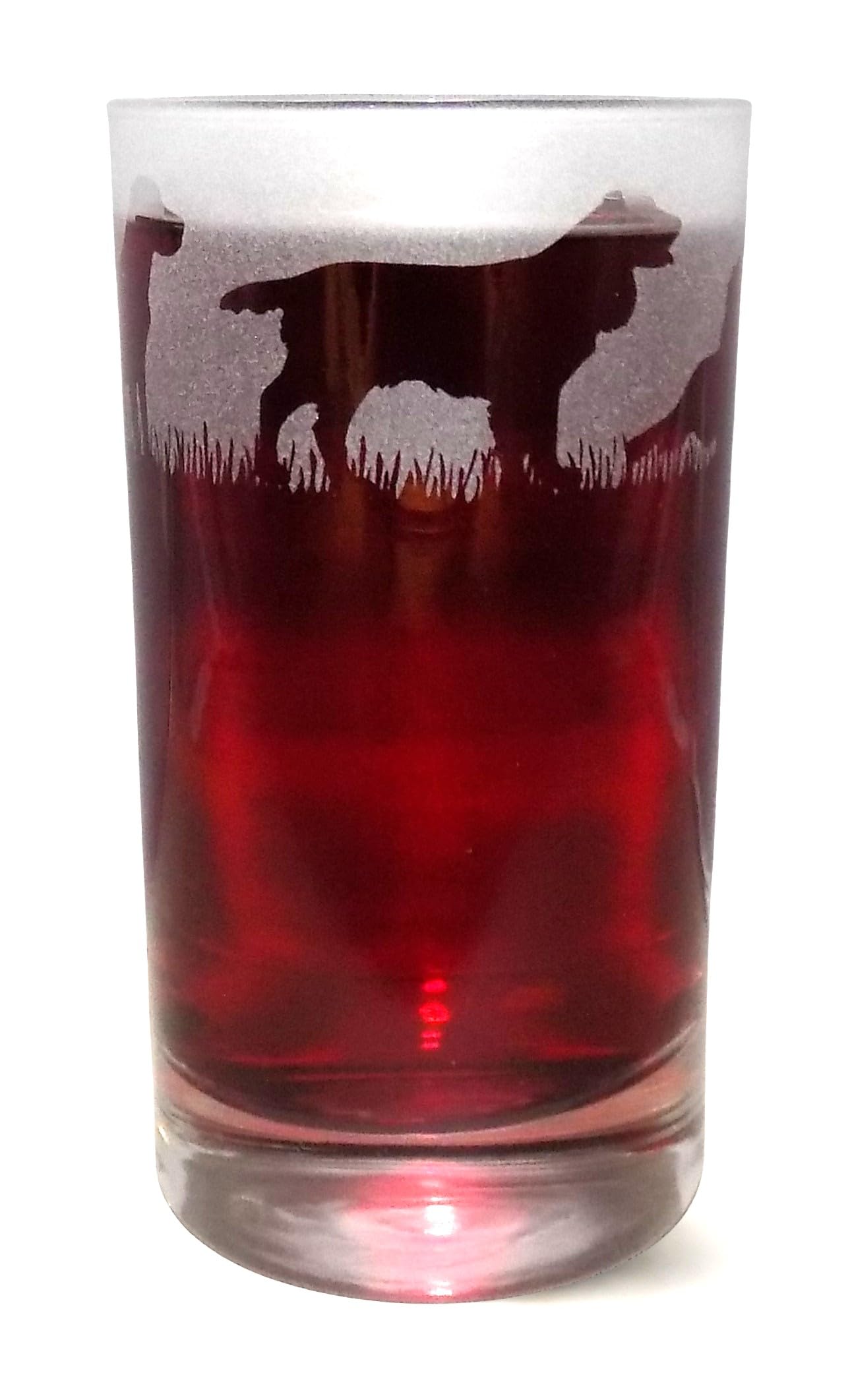 Springer Spaniel Hand Etched Highball Tumbler โ image 1