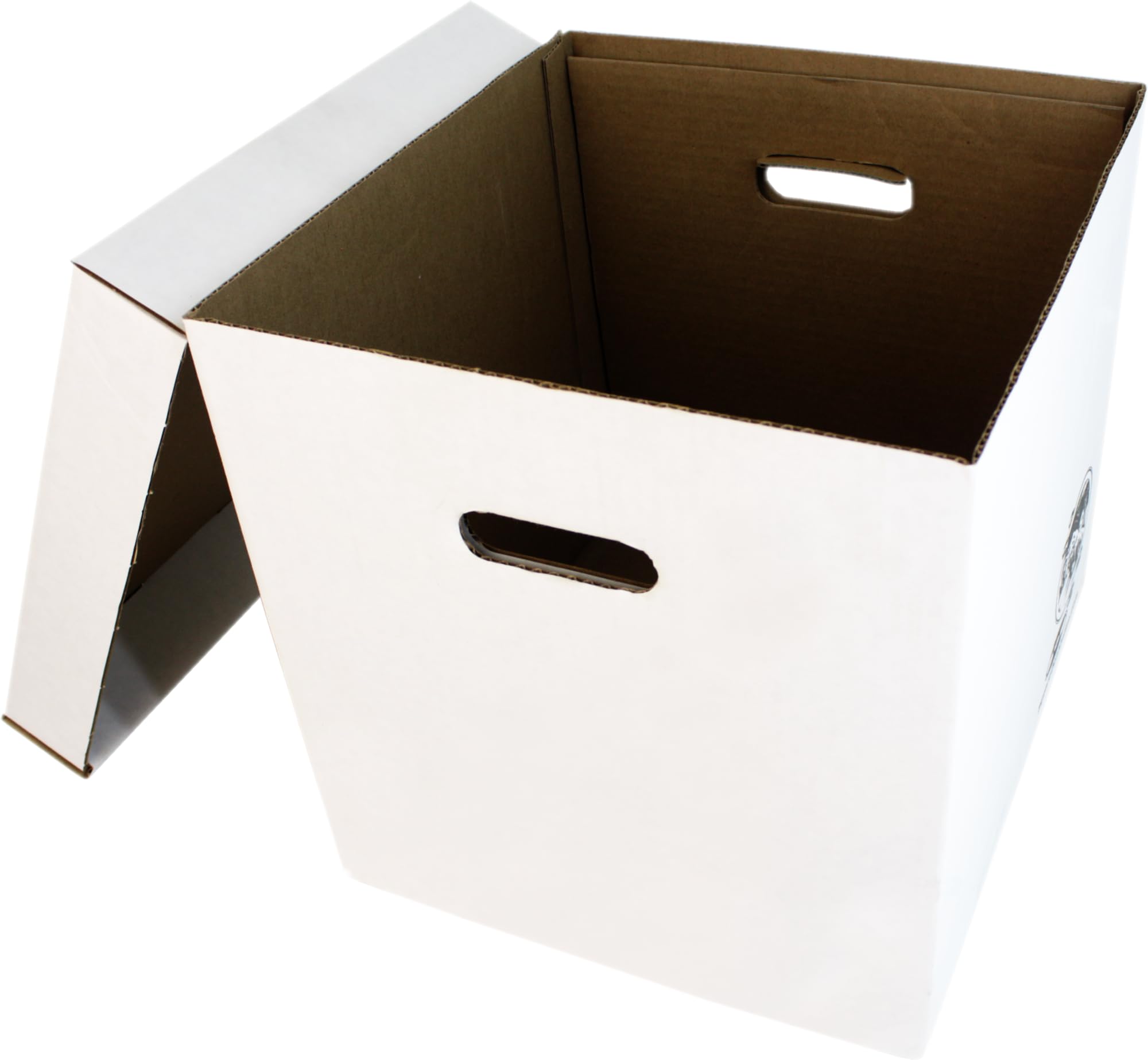 Set di 10 scatole per dischi in vinile da 30,5 cm, struttura in cartone resistente con coperchio rimovibile, contiene fino a 90 dischi ciascuna, resistenti per archiviazione sicura a lungo termine