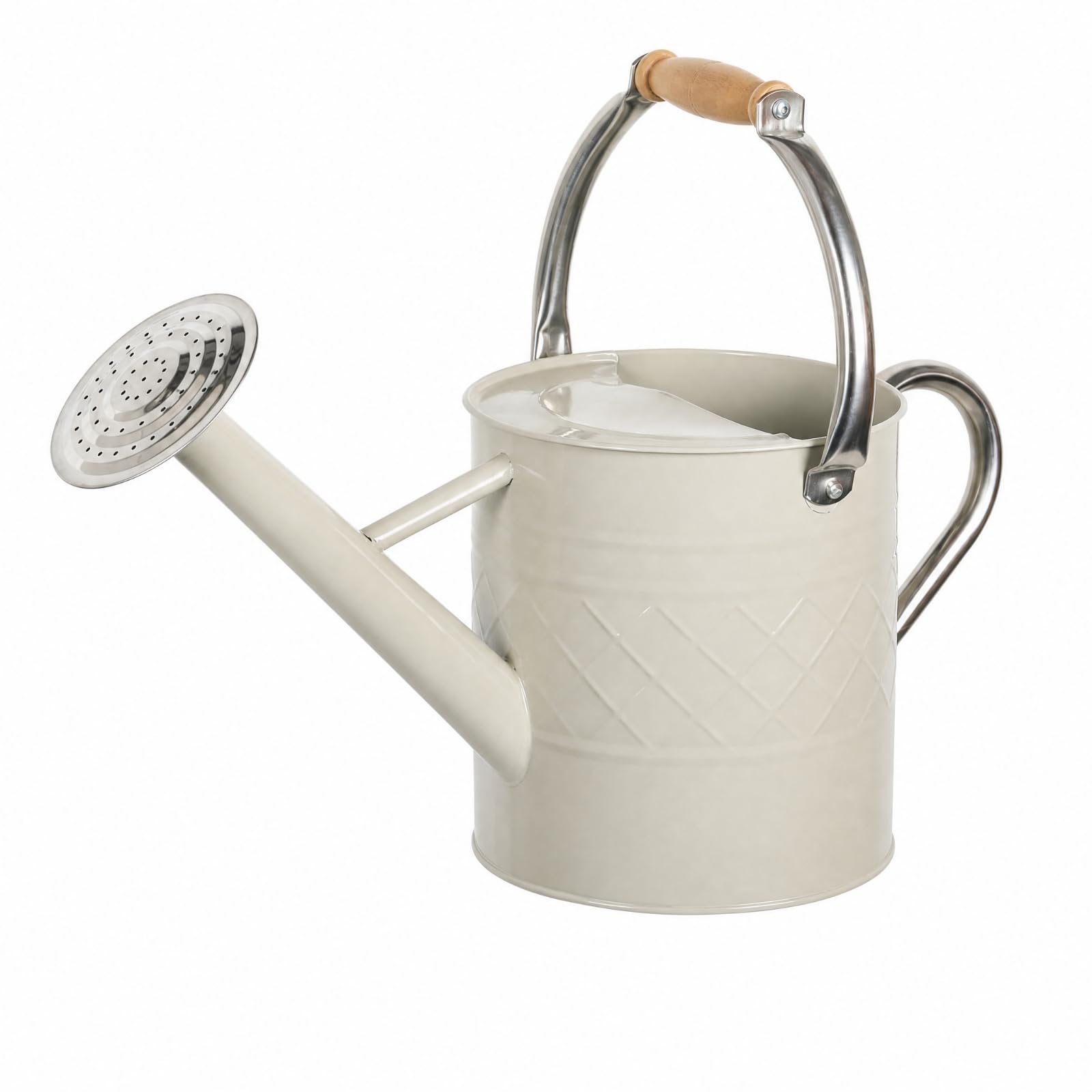 Baoblaze Annaffiatoio in Metallo da 5 L Facile da Pulire Annaffiatoio con Beccuccio Removibile Grande Capacità per Balcone, Terrazzo, Piante Interno, Manico In Legno
