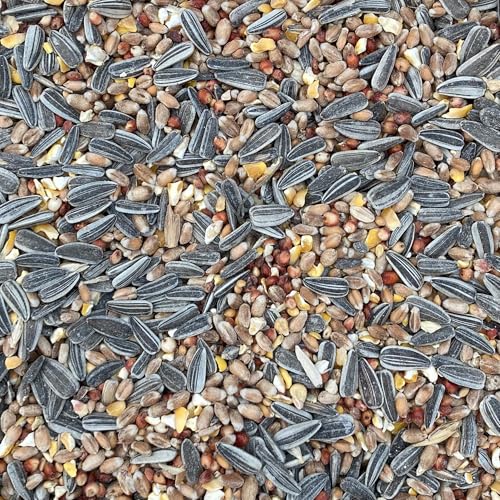 Mélange de graines BusyBeaks - Nourriture pour Oiseaux Sauvages - Mélange Premium de blé, maïs concassé, sorgho, graines de Tournesol et Millet - Idéal pour Une Alimentation Toute Saison.