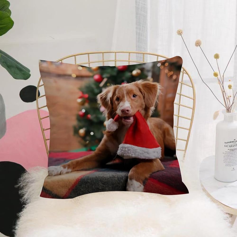 HYOSXW Cushion Cover,Throw Pillow Case Home Decorative for Living Room Bedroom Sofa Chair 16X16 Inch,Golden Retriever, Christmas themed golden retriever,Pillowcase 40X40cm