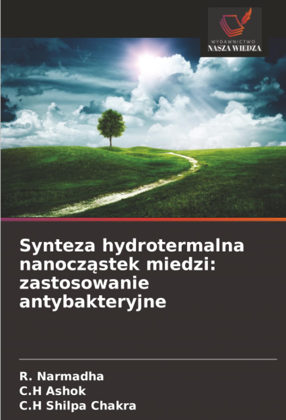 Synteza hydrotermalna nanocz¿stek miedzi: zastosowanie antybakteryjne