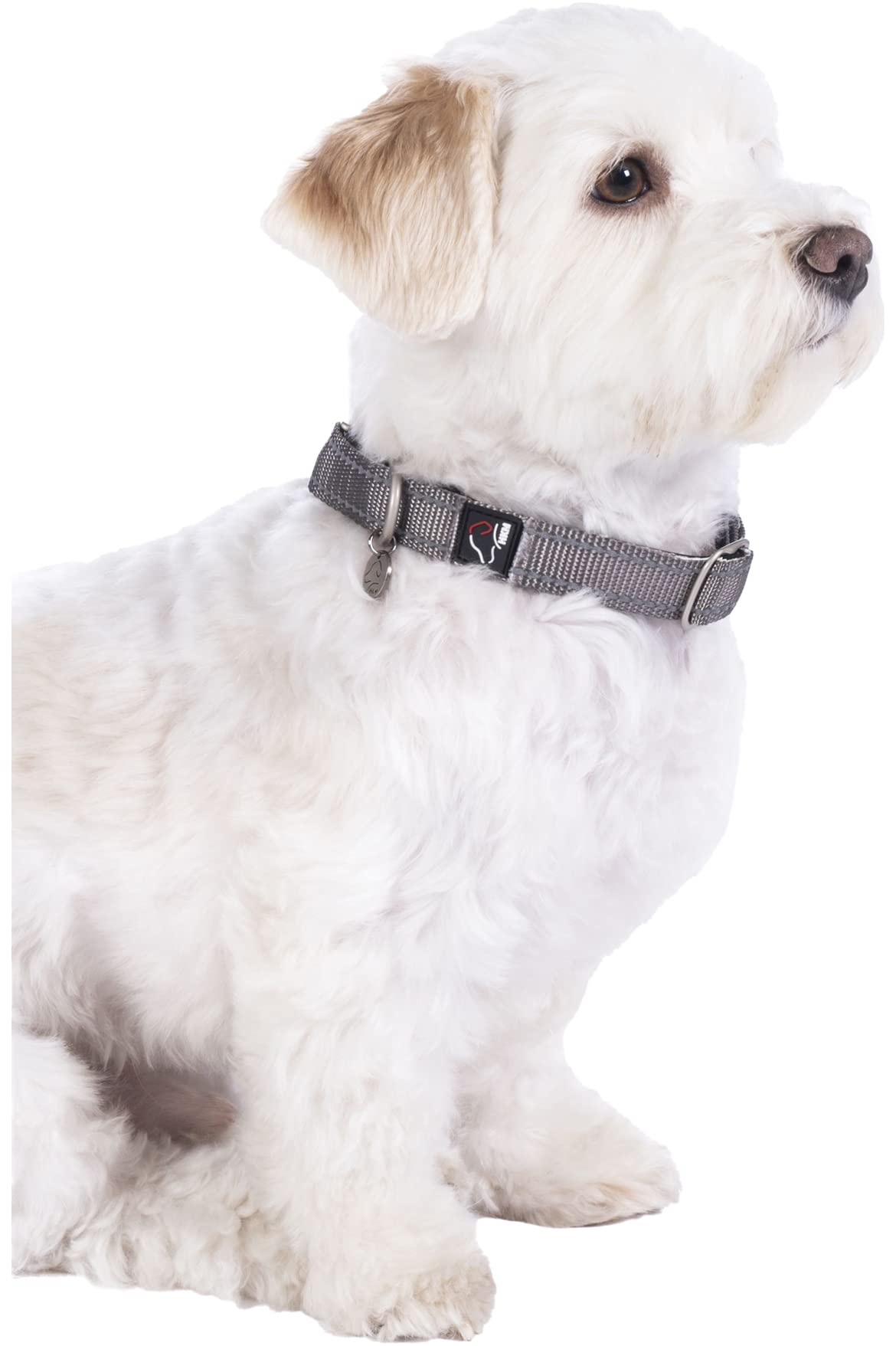 Hkm Anam Cara- Nylon Dog Collar Taupe M/L - Image 2
