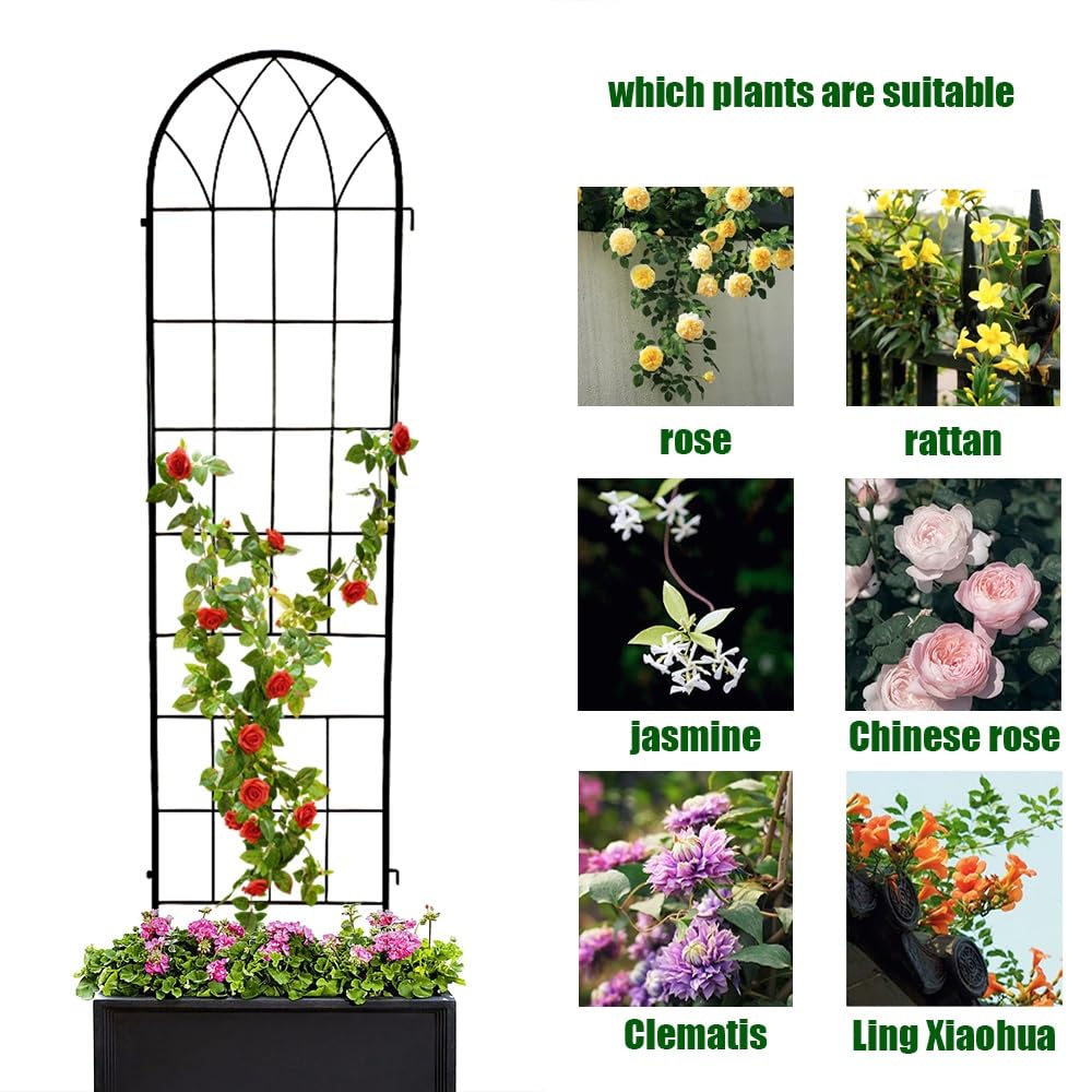 Traliccio Da Giardino In Metallo Per Piante Rampicanti - 220x50 Cm, Nero, Con Decorazioni A Fiori E Uccelli