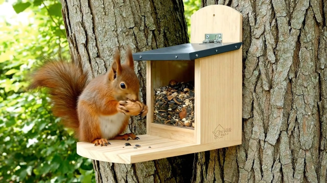 Futterstation Eichhörnchen Relaxdays Eichhörnchen Produktbild-Vorschau 10