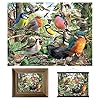 3D LiveLife Lenticular Wall Art Prints - Nature's home from Deluxebase. Unframed 3D Bird Poster. A perfect wall filler. Original artwork licensed from renowned artist, David Penfound #1