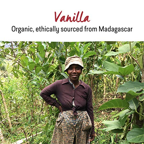 Rebbl Vanilla Spice Protein, 12 Oz #TOP3