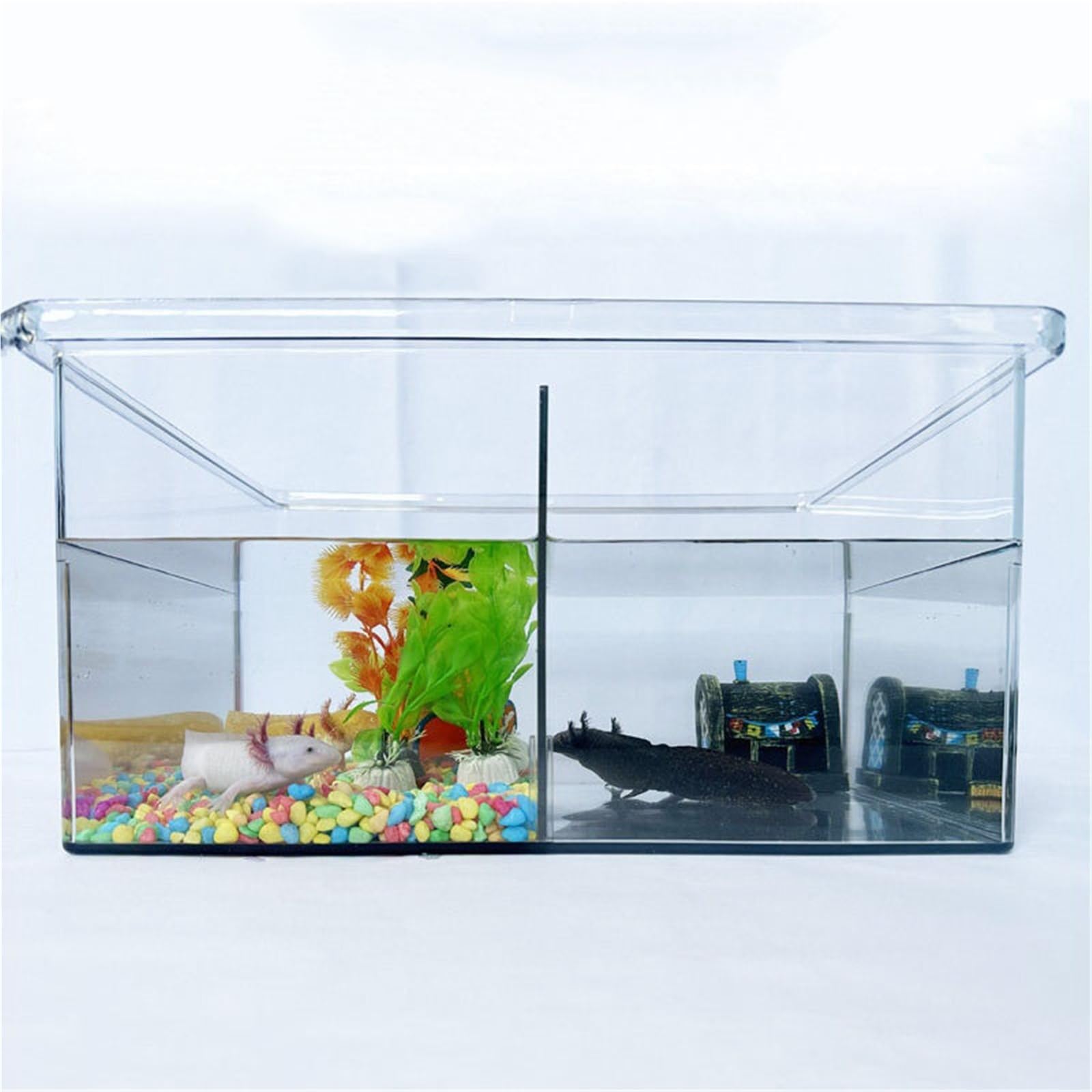 la Caja de alimentación de Reptiles, Tanque De Alimentación Transparente con Partición Terrario Habitat 36x26x20CM