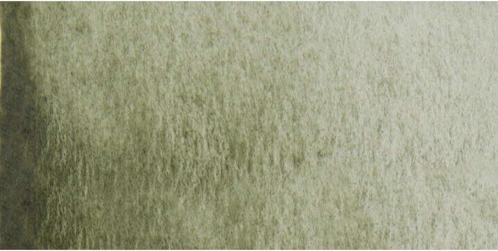 Schmincke Horadam Watercolor - May Green, 15ml | Jerry's Artarama Schmincke半貴石Special Edition Artists ' Watercolours – グリーンPorph