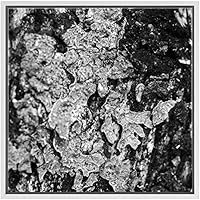 SIGNWIN Framed Canvas Wall Art Aged Oak Tree Bark Nature Texture Photography Minimalism Modern Closeup Dramatic Black and White for Living Room, Bedroom, Office - 16
