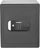 Yale YSEM400EG1 Maximum Safety Certified - Office Type Motorized Case