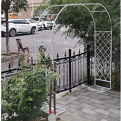 Elegante pergola ad arco in metallo per piante rampicanti, perfetta per decorazioni da giardino e cerimonie nuziali all'aperto