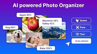 Nero Platinum 365 | All-in-One Multimedia Suite | Video Editing, Photos, Music, Backup, AI Tools, 4K/8K Support, Photo Organizer, Convert & Burn | 1 PC | Windows 11/10/8/7