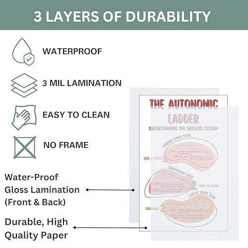 Miniatura 8 de Autonomic Ladder Poster, Boho Mental Health Posters, Counseling Office Printed Wall Decor, Classroom Wall Art - 11x17 in. LAMINATED - No Frame