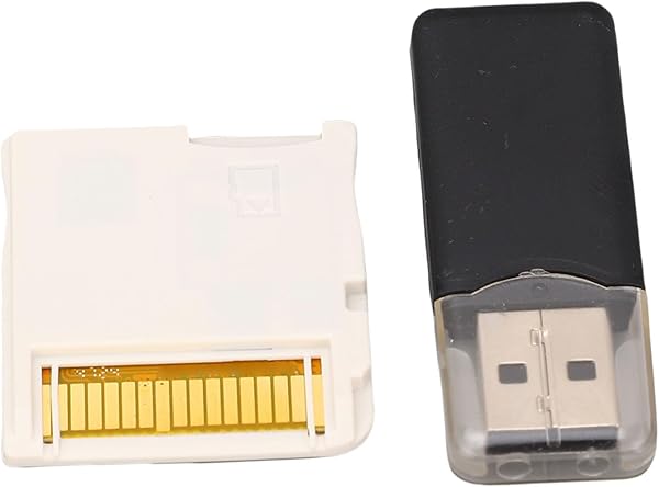 Ejoyous 2025 R4 Video Game Memory Card ASIC Chip Flash Card with Reader for, NDSL, NDSI, NDSI XL, 2DS, 3DS, 3DS New 2DS XL (White) - 5